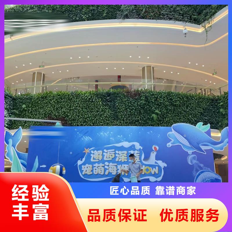 哪有出租企鹅的实力公司