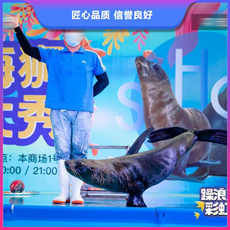 宁夏哪有出租海狮表演的资源丰富