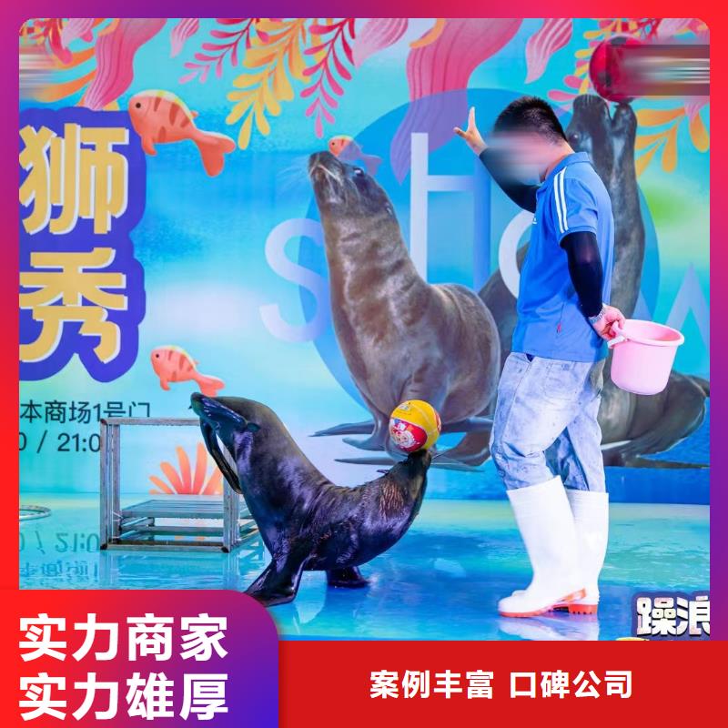 美人鱼表演租赁公司解决方案