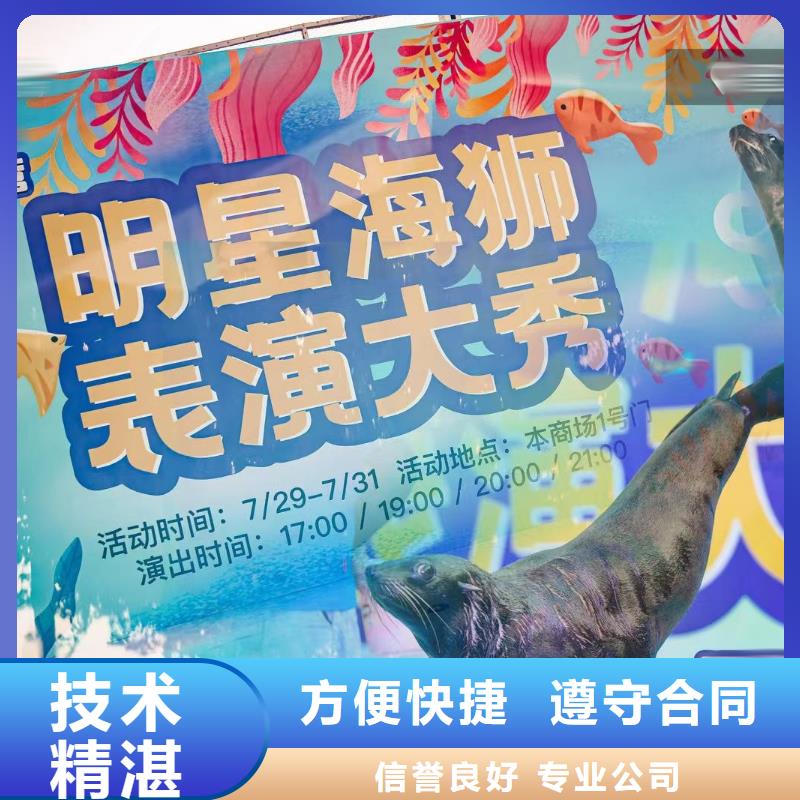 企鹅展览商场活动售后保障