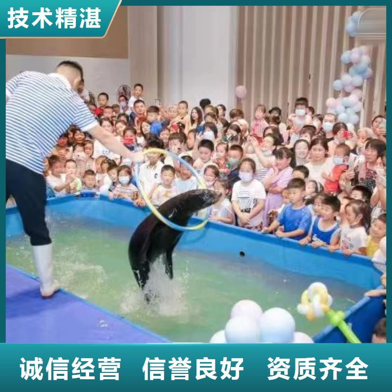 鳄鱼表演租赁一手资源2024公司