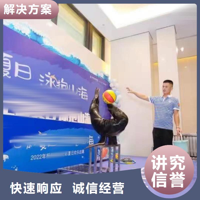 潮州租赁美人鱼表演暖场氛围