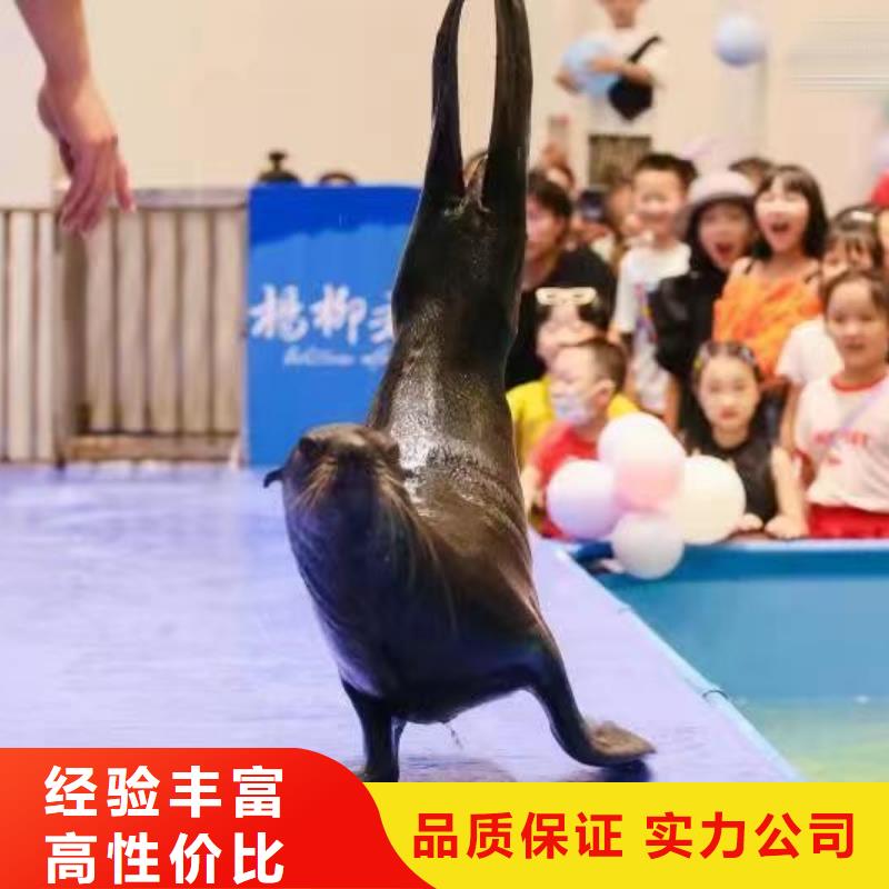 海洋展出租经验丰富