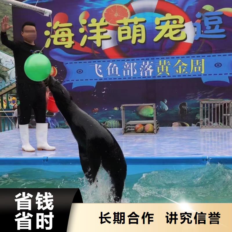 哪有出租海洋展的好评度高