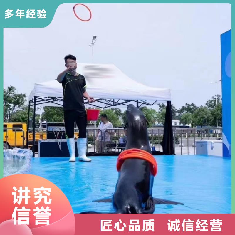 海洋展租赁庆典活动24小时为您服务