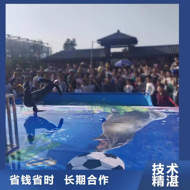 海洋展出租品种多价格低知名公司