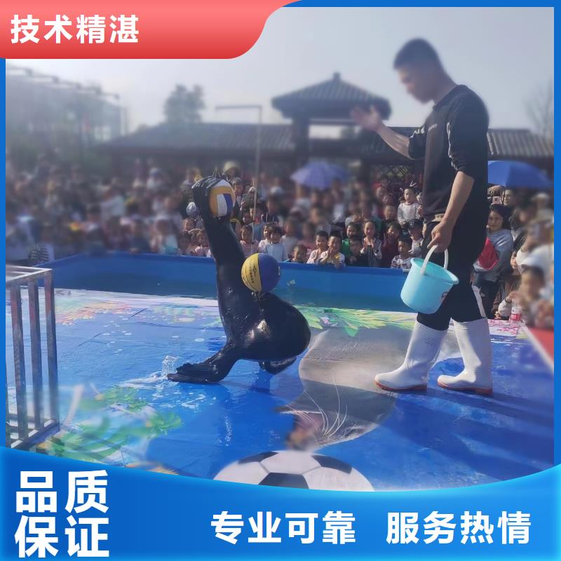 【海洋主题动物表演,美人鱼表演行业口碑好】同城货源