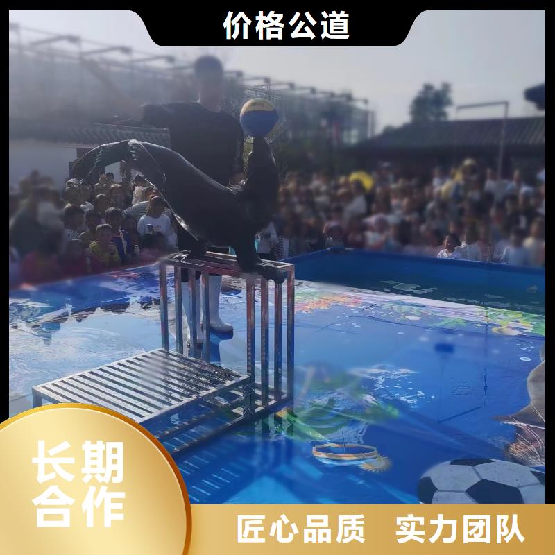 美人鱼表演租赁行业口碑好