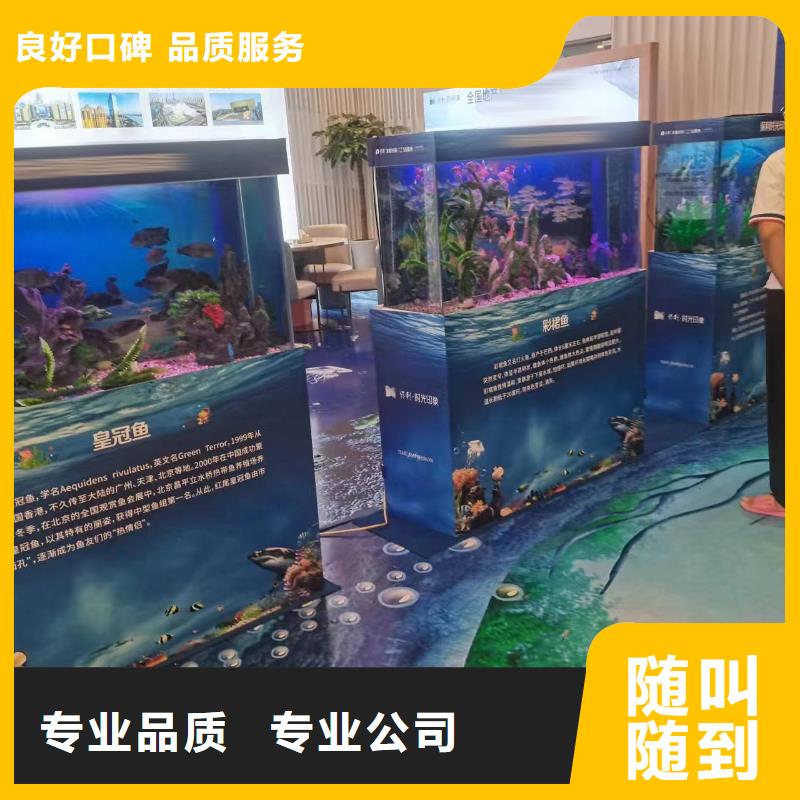 海洋主题动物表演_【海狮租赁表演】先进的技术拒绝虚高价