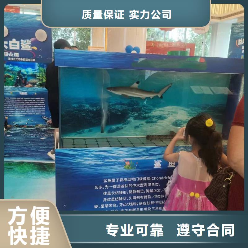 美人鱼表演出租当地制造商