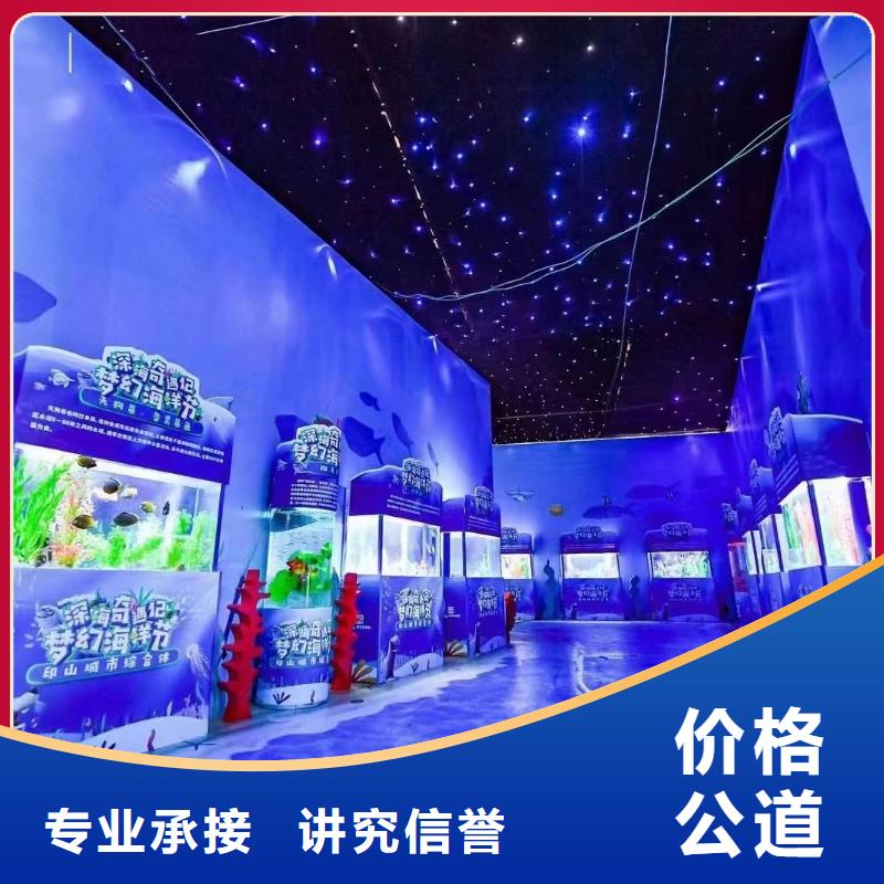 海洋主题动物表演海狮表演出租专业服务本地厂家