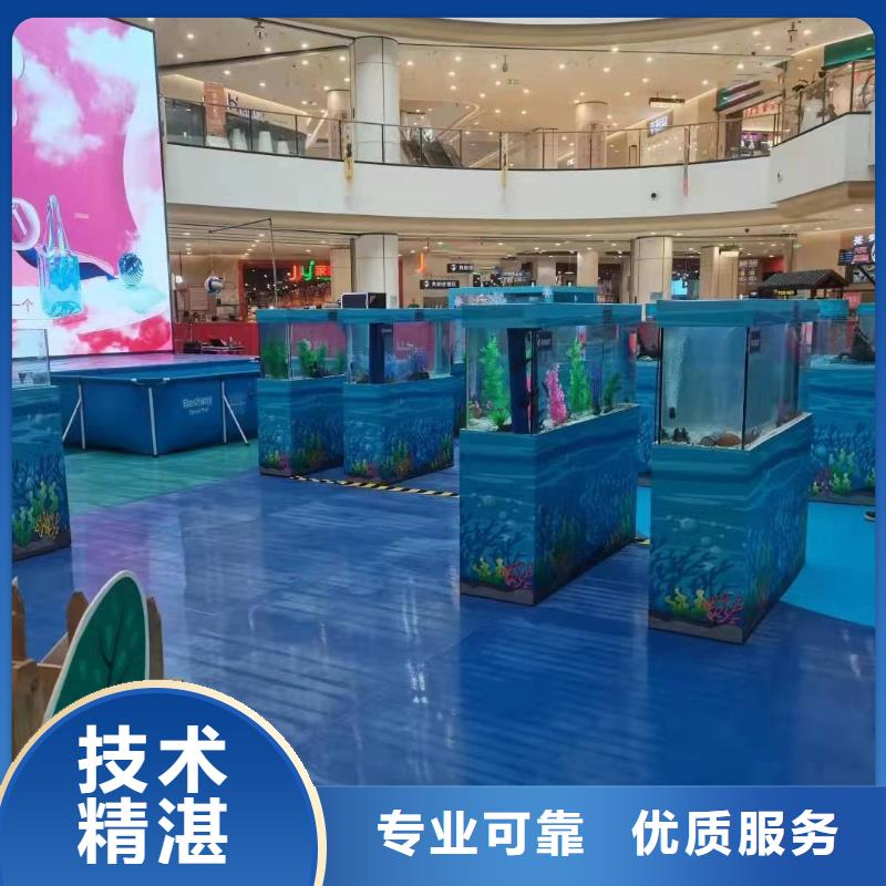 哪有出租海狮表演的活跃气氛精英团队