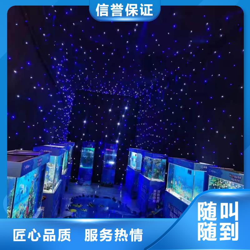 海狮表演租赁动物出租解决方案