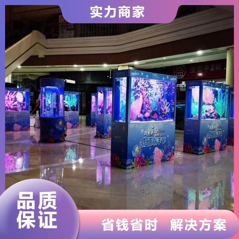 海洋主题动物表演,动物展览秀长期合作本地经销商