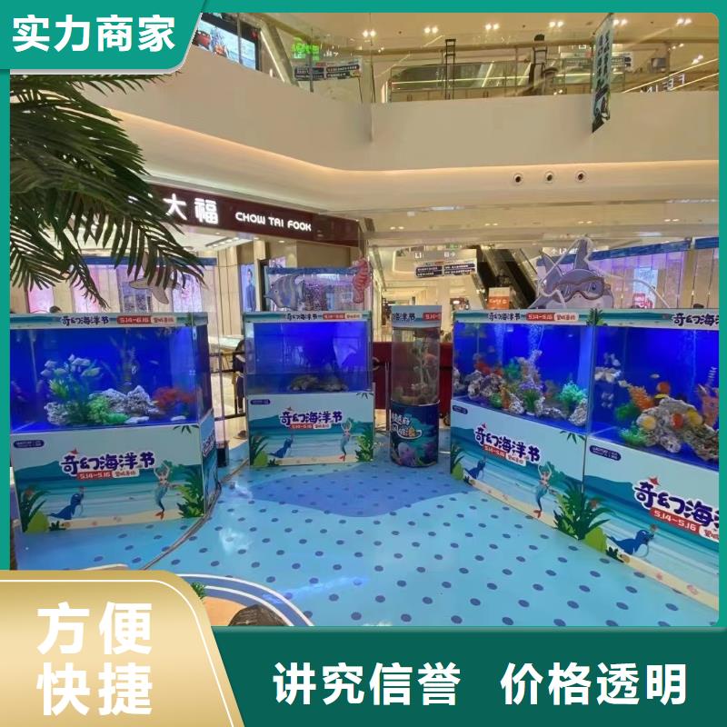 美人鱼表演出租一手资源本地厂家