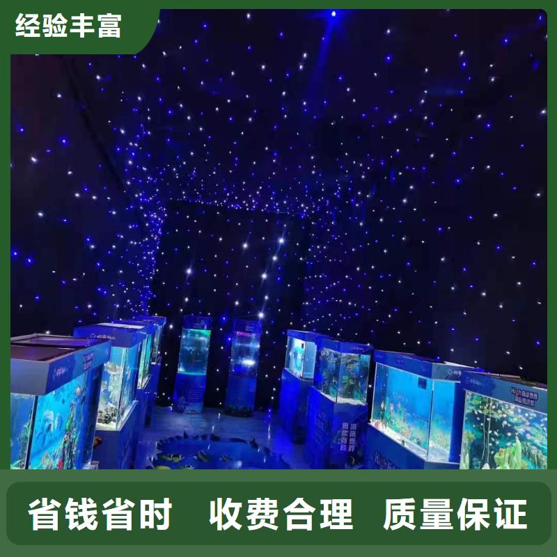 海洋主题动物表演海狮表演出租案例丰富同城厂家