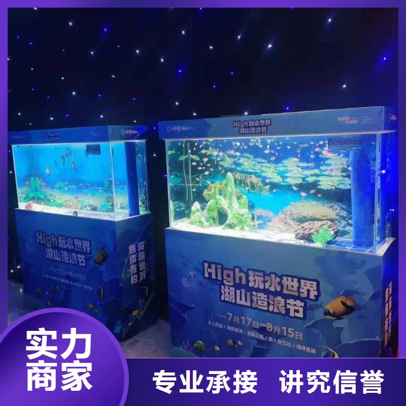 哪里有出租企鹅的丰富多彩本地服务商
