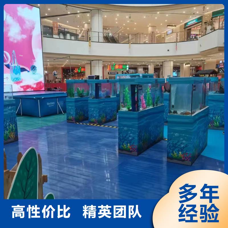 海洋主题动物表演环球飞车表演出租知名公司放心之选