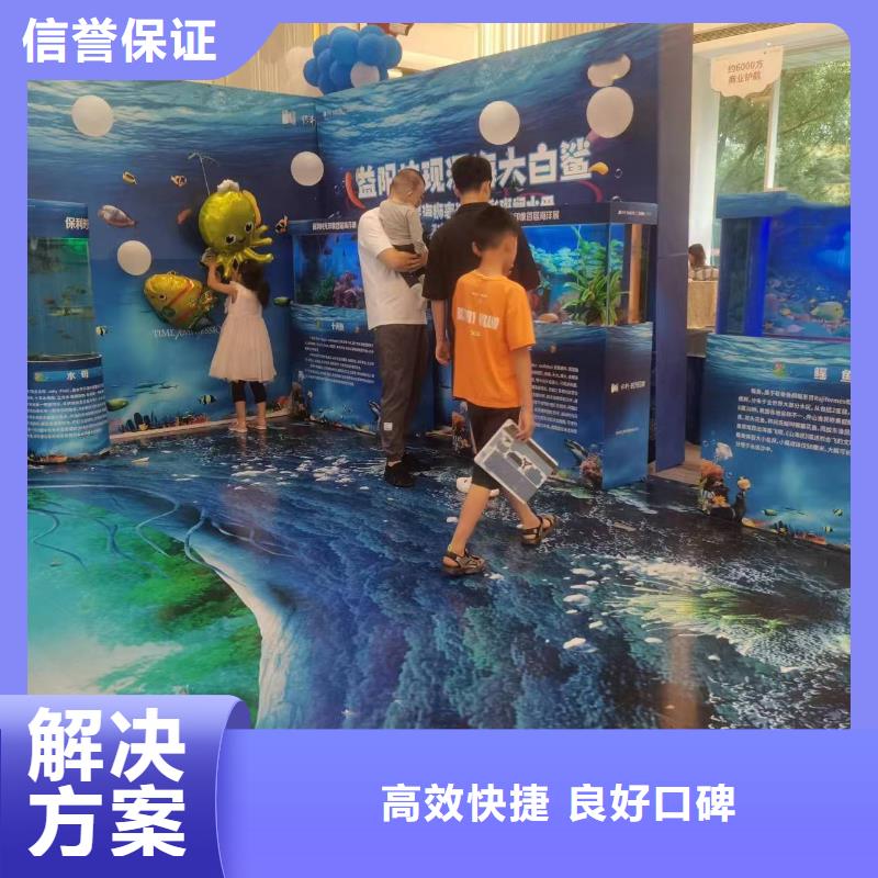 海狮表演租赁图片本地经销商