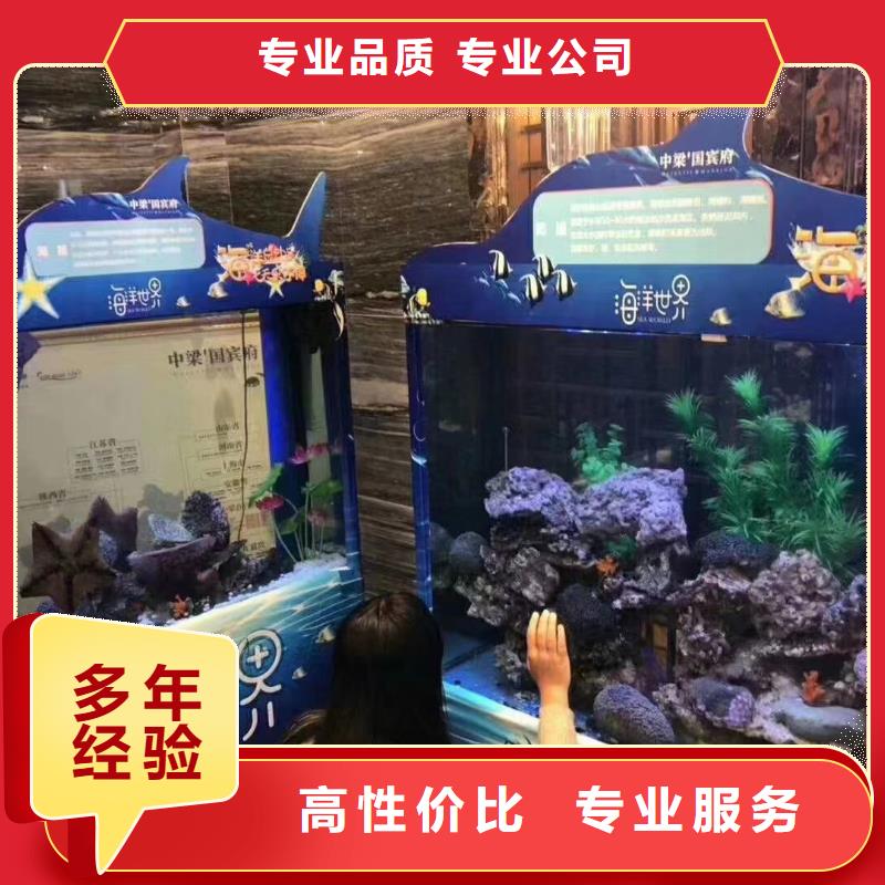 海洋主题动物表演出租马戏表演专业品质售后保障