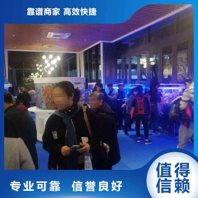租赁美人鱼表演暖场氛围同城生产厂家