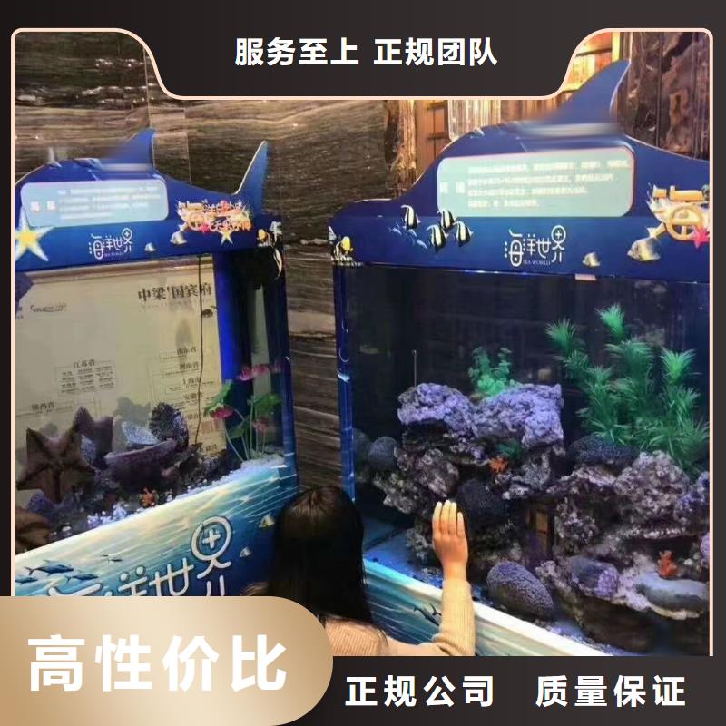 海洋主题动物表演出租羊驼质量保证当地服务商