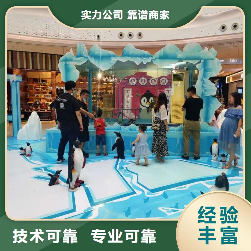 活体企鹅租赁公司丰富多彩精英团队