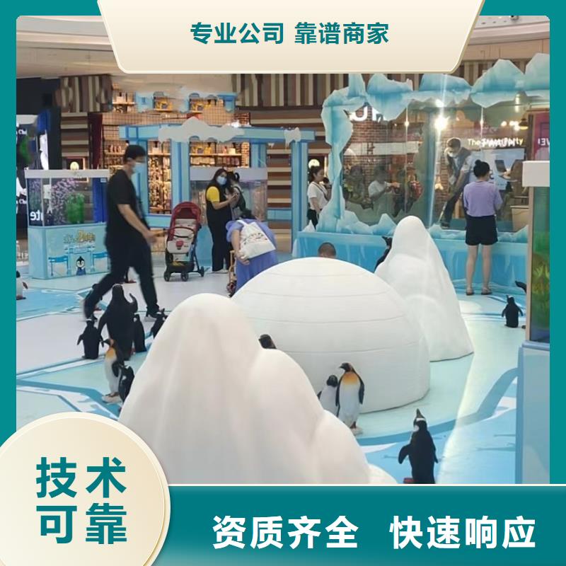 宁夏租赁海狮表演主题展览