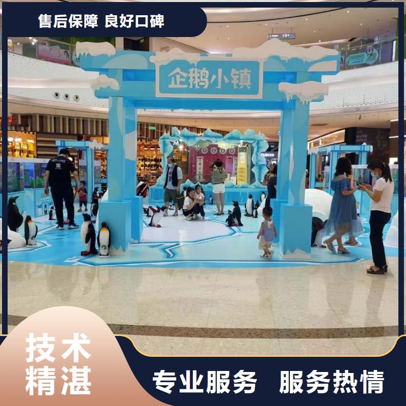 海洋主题动物表演海狮表演出租价格低于同行放心