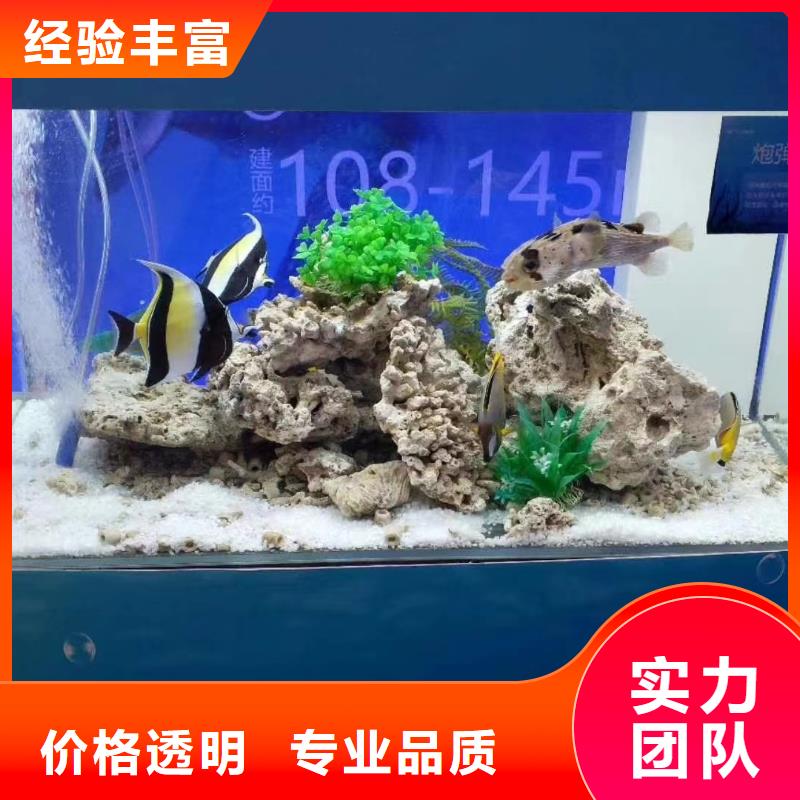 出租美人鱼表演同城生产厂家
