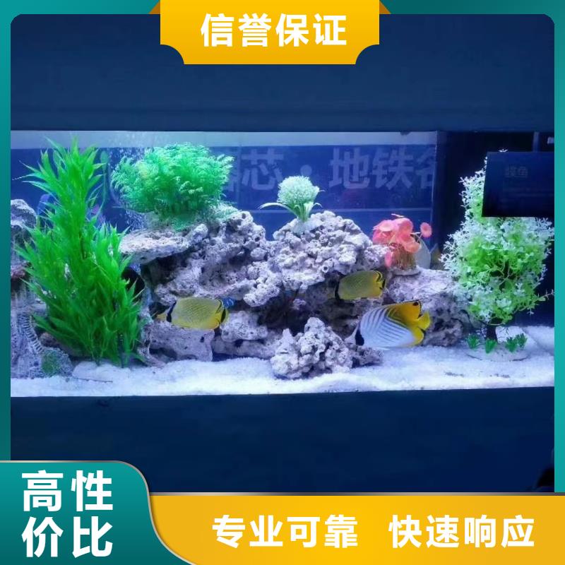 海洋生物鱼缸展租赁活动庆典本地货源
