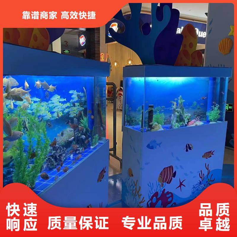 企鹅出租周边价格透明