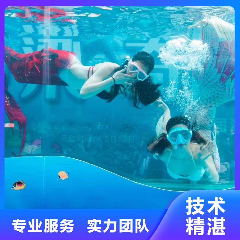 租赁海狮表演暖场方案同城品牌