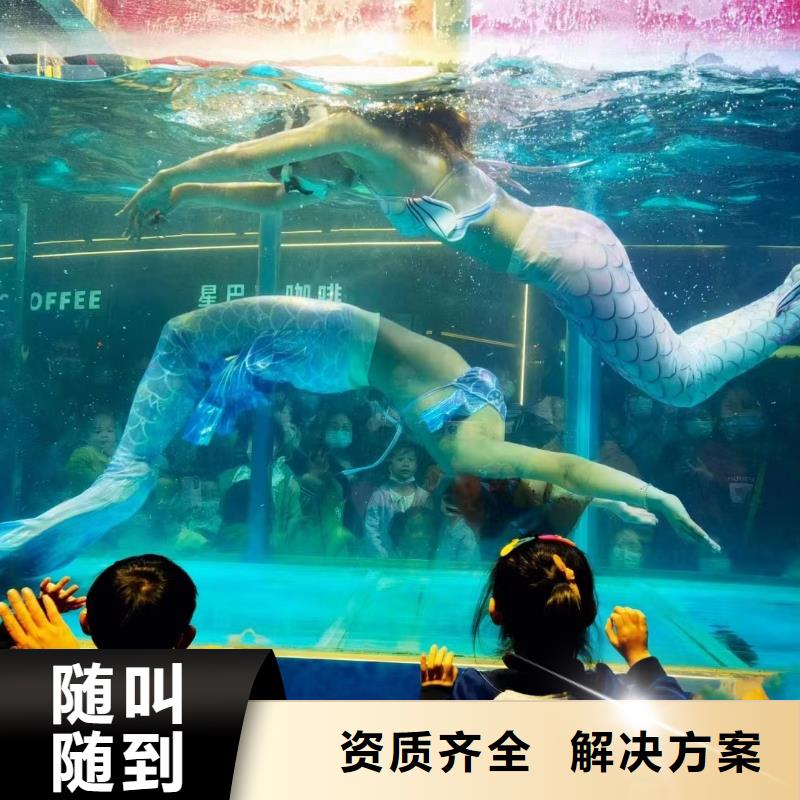 【海洋主题动物表演】美人鱼表演全市24小时服务全市24小时服务