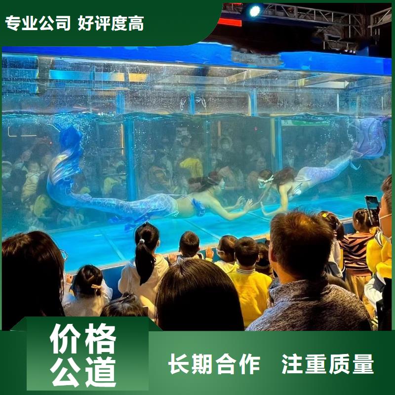 海洋主题动物表演【海洋展租赁】省钱省时欢迎询价