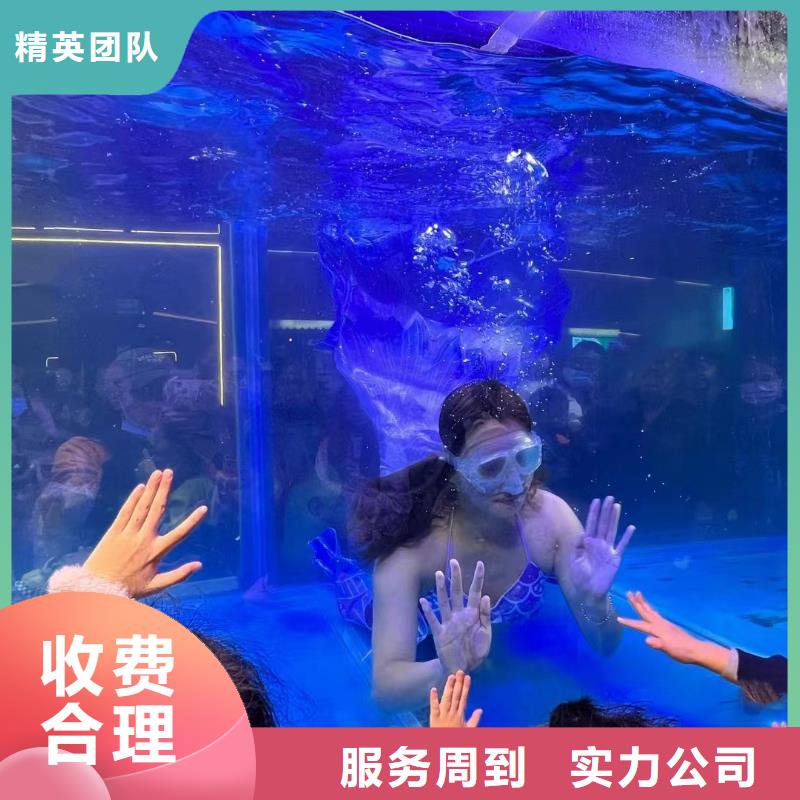 【海洋主题动物表演】观赏性羊驼租赁实力强有保证解决方案