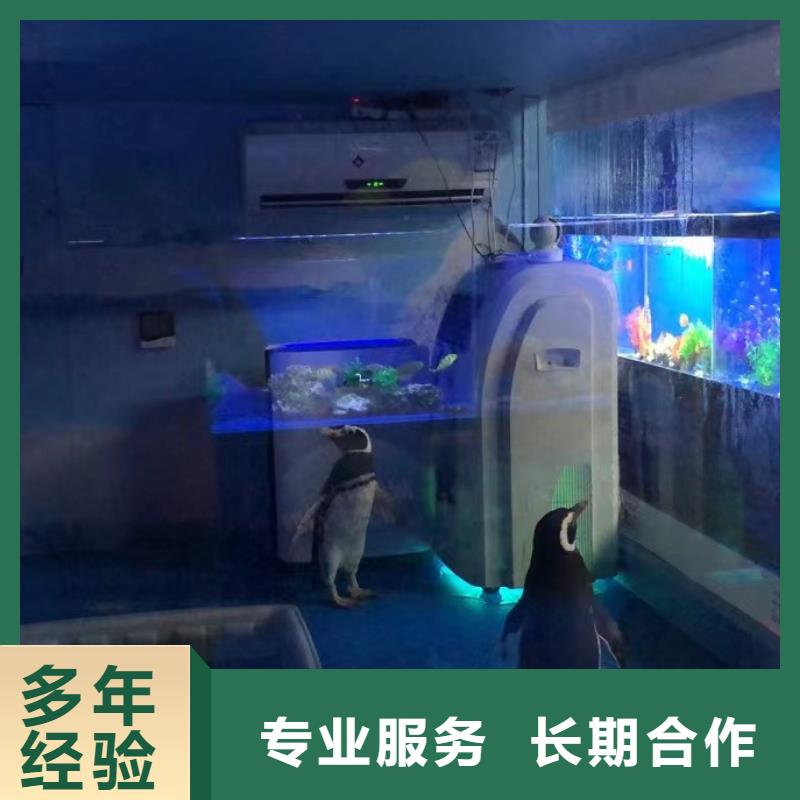 企鹅出租优质售后快捷