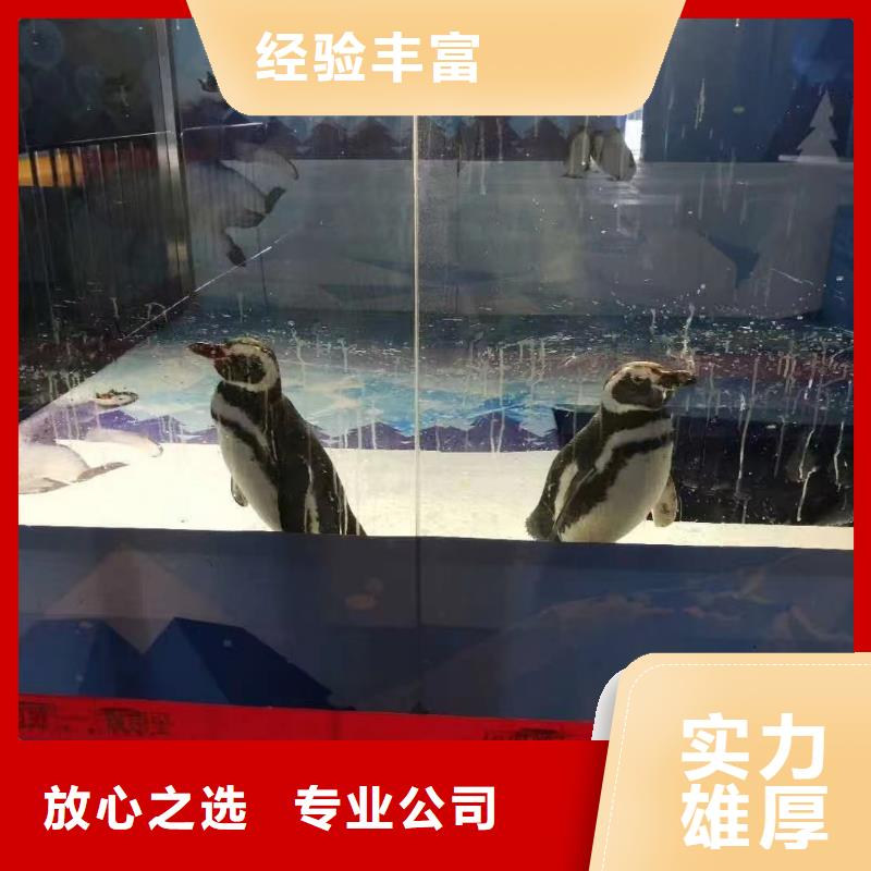 海洋展租赁-来电订购当地公司