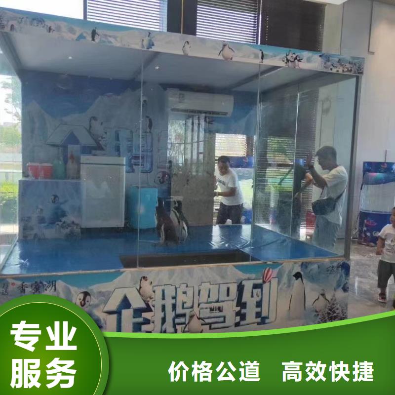 海洋展出租排行实力团队