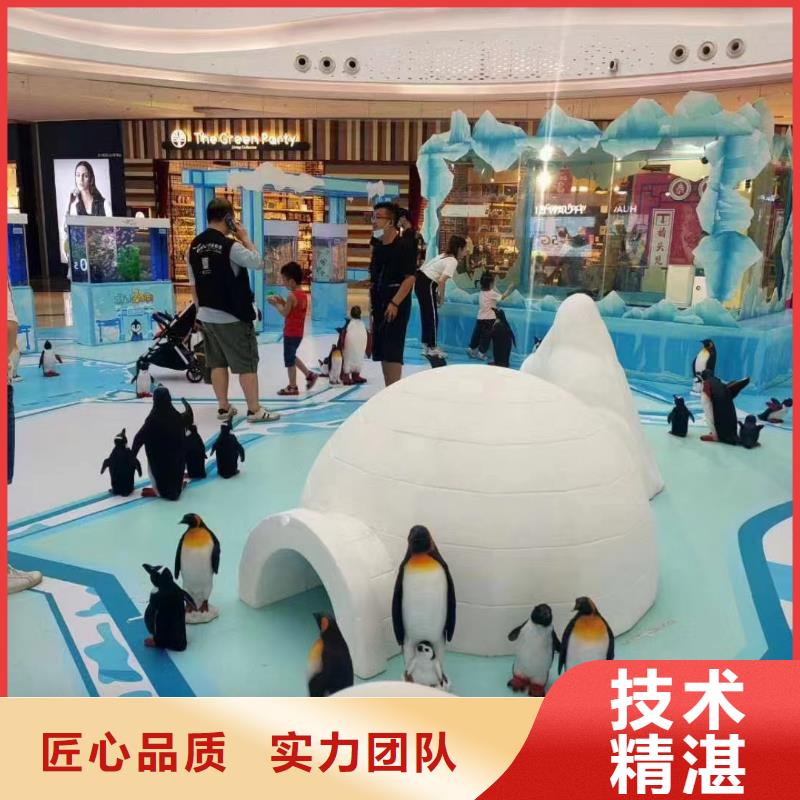 哪有出租企鹅的同城厂家