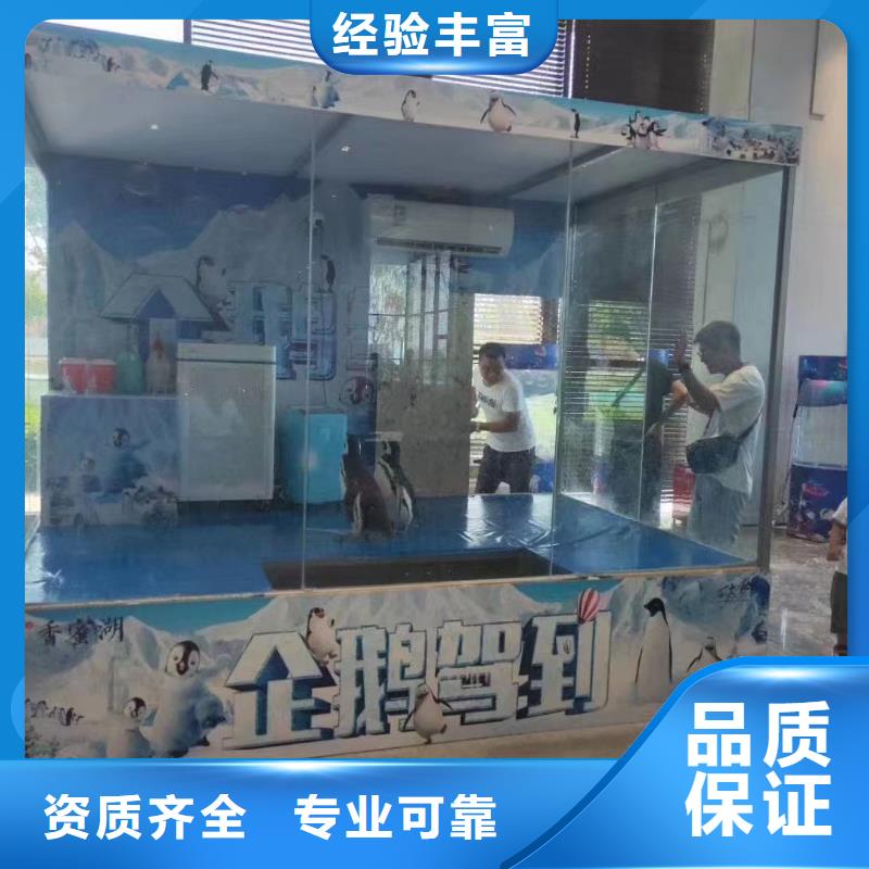 海洋展出租靠谱商家