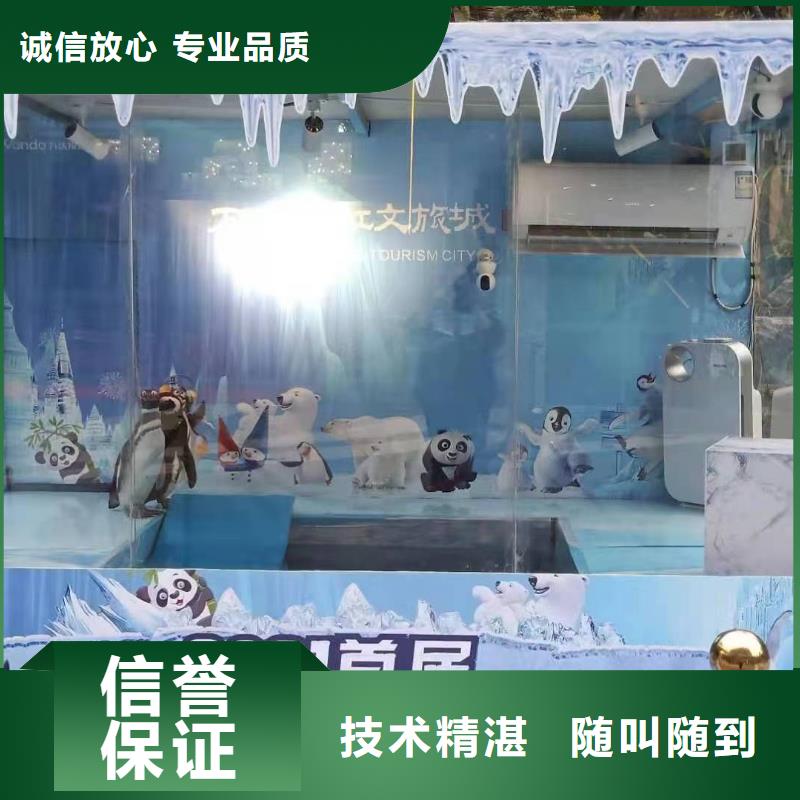 企鹅租赁_兮洋动物展览有限公司价格公道