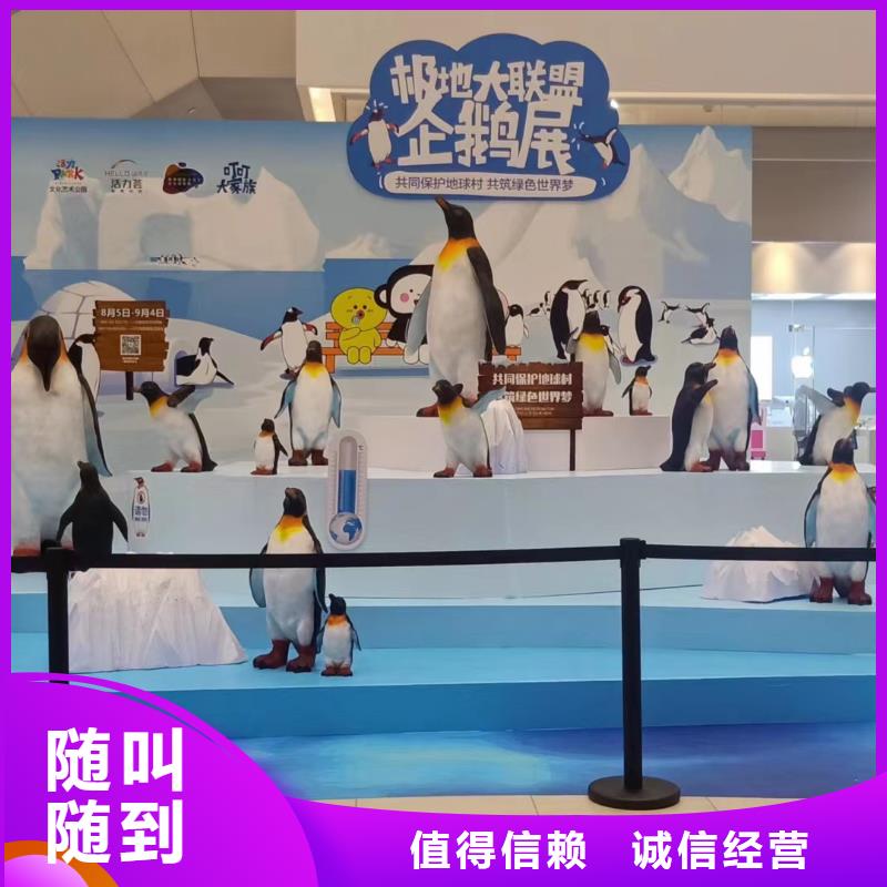 海洋主题动物表演,环球飞车表演出租知名公司一站式服务