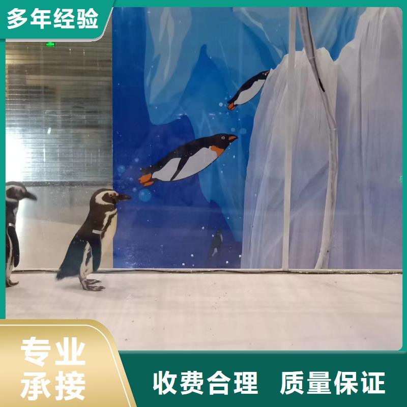 海洋生物展出租免费策划本地公司