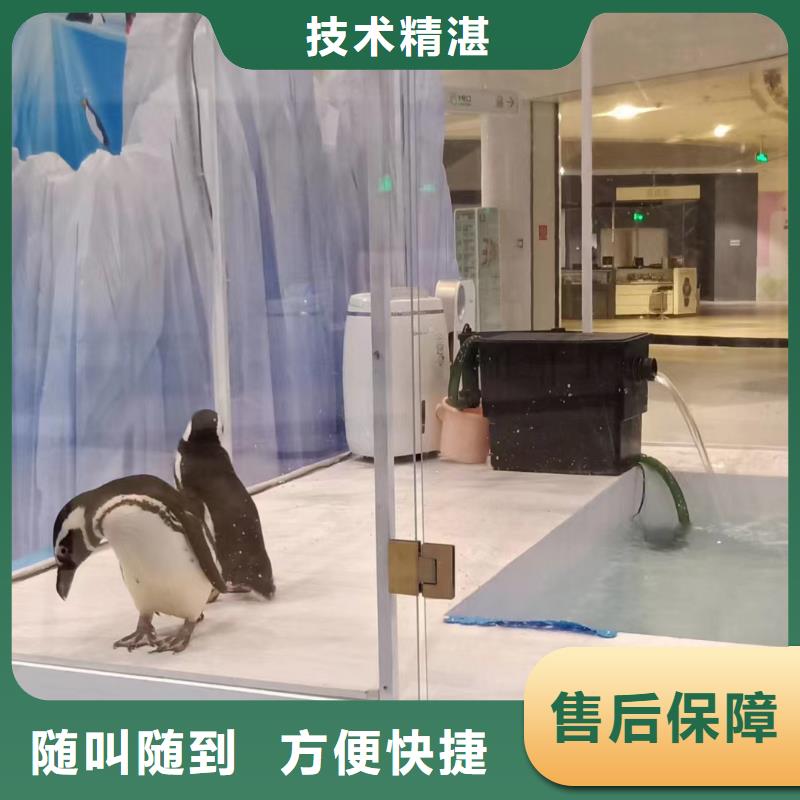 美人鱼表演出租公司一对一服务