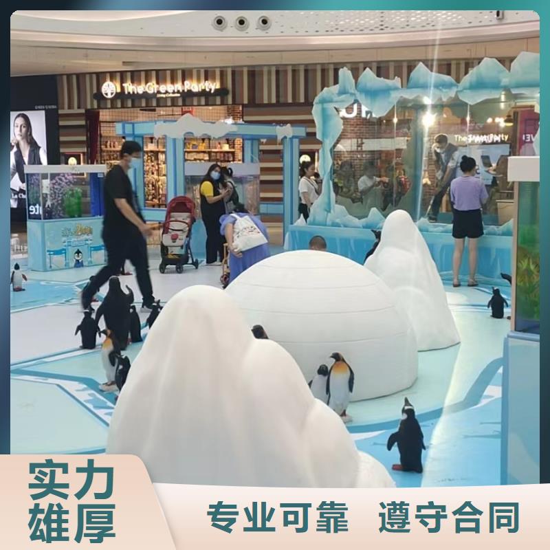 潮州租赁美人鱼表演暖场氛围