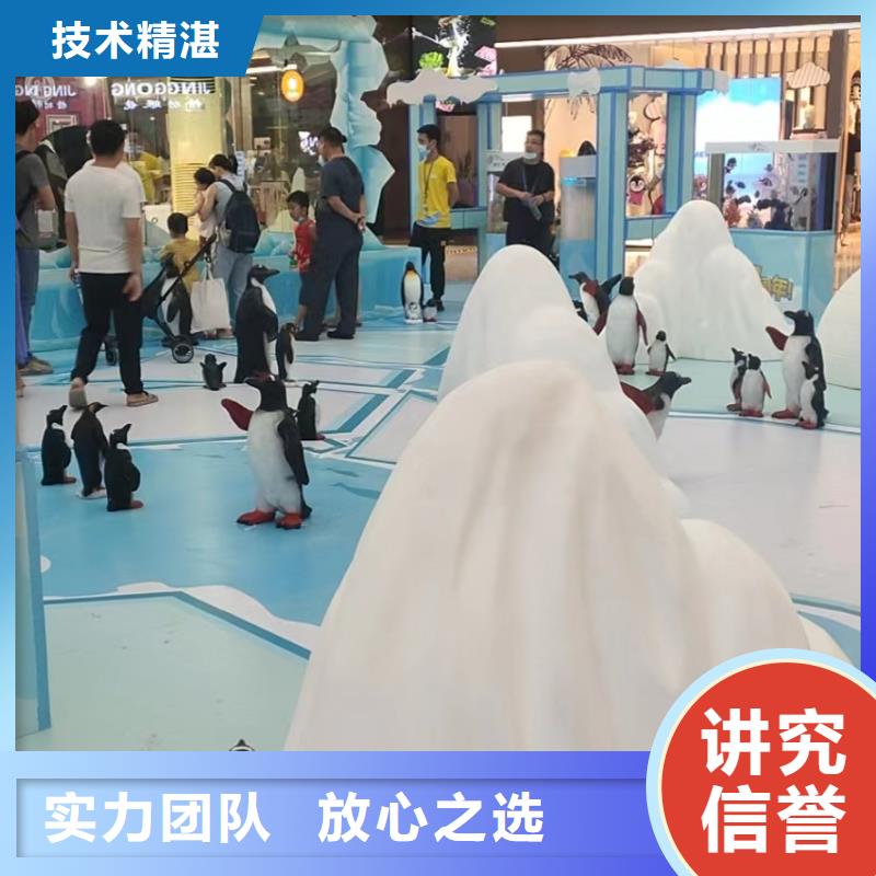 企鹅出租正规