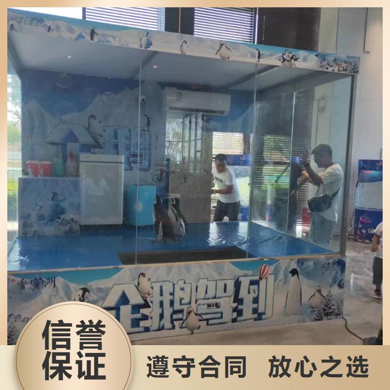 哪有出租海狮的本地厂家