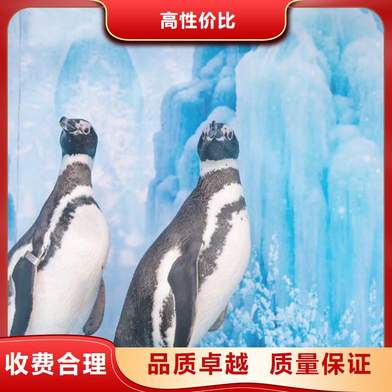 海洋生物展出租公司一手资源当地经销商