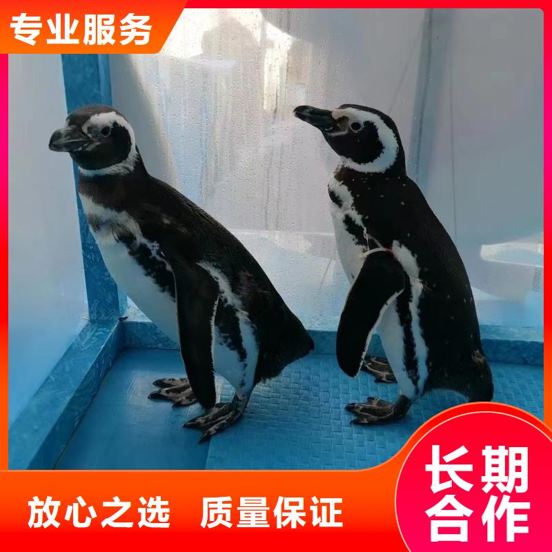 定做海洋展出租的当地厂家技术可靠
